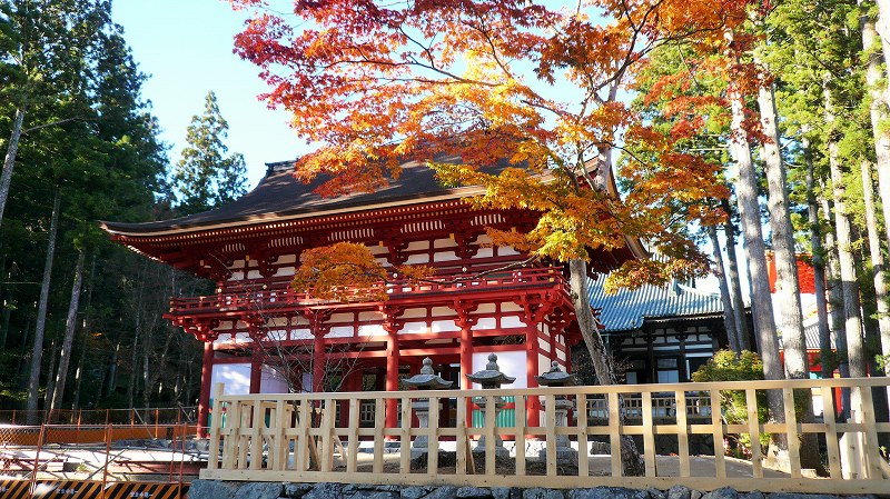 f:id:boianuf:20141109160032j:image