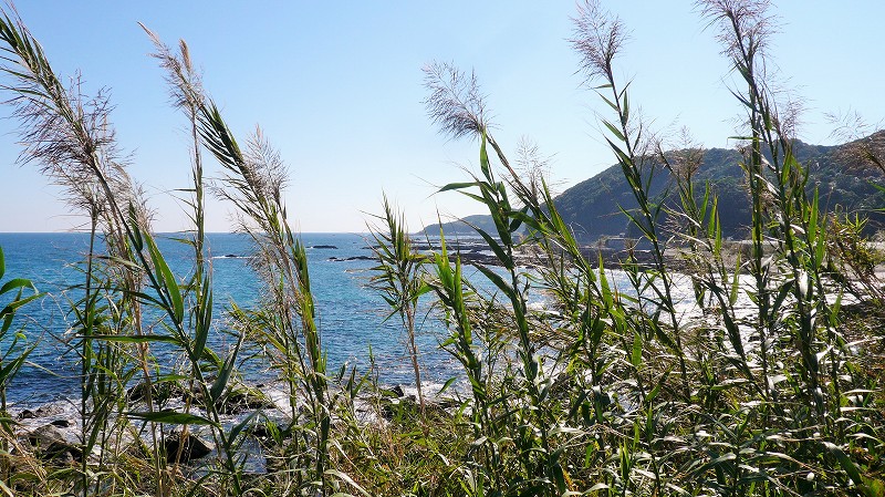f:id:boianuf:20141201143905j:image