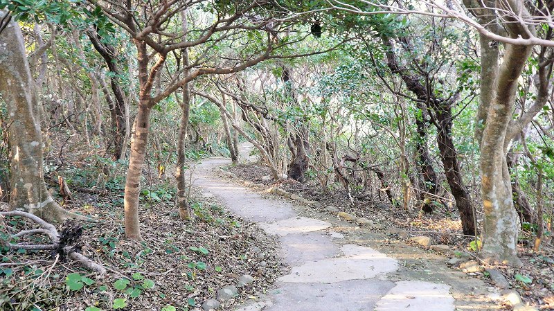 f:id:boianuf:20141203132157j:image