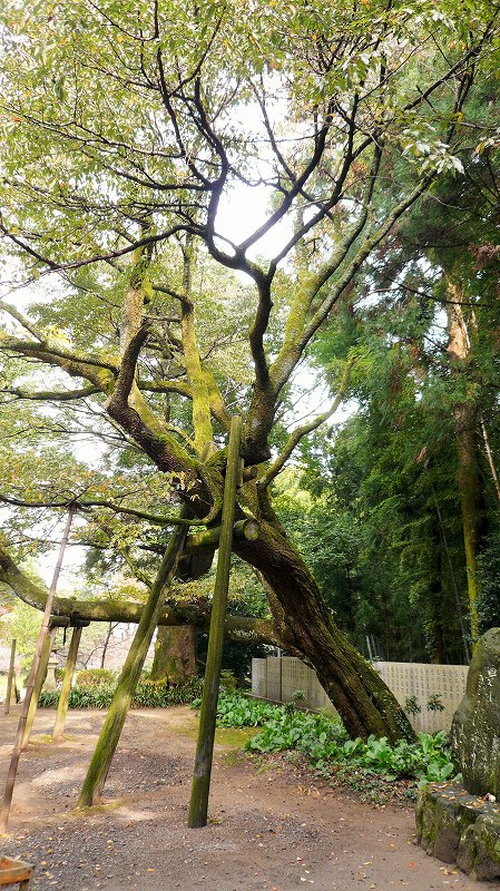 f:id:boianuf:20141215162223j:image f:id:boianuf:20141215162223j:image