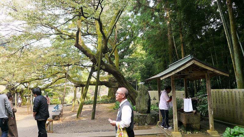 f:id:boianuf:20141215162224j:image f:id:boianuf:20141215162224j:image