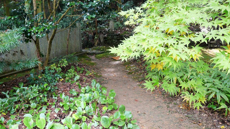 f:id:boianuf:20141215162227j:image f:id:boianuf:20141215162227j:image