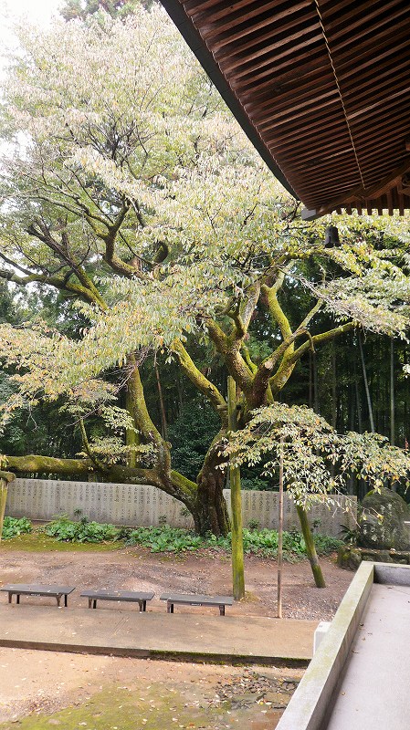 f:id:boianuf:20141215162358j:image f:id:boianuf:20141215162358j:image