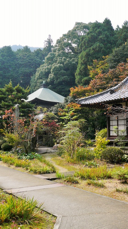 f:id:boianuf:20141215162521j:image f:id:boianuf:20141215162521j:image