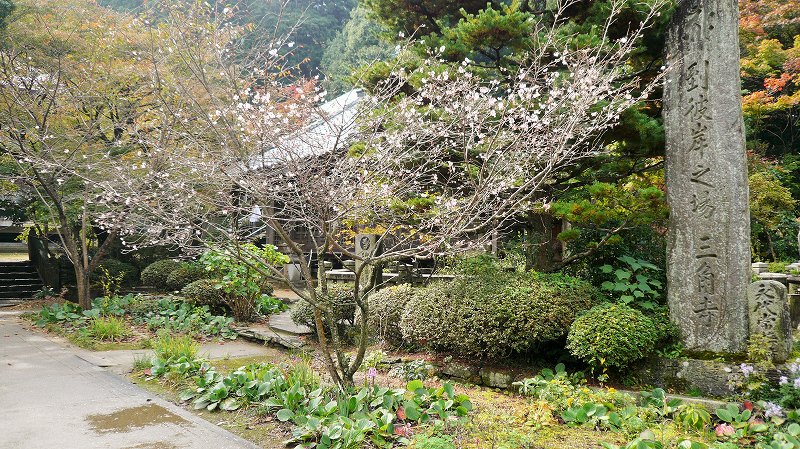 f:id:boianuf:20141215162522j:image f:id:boianuf:20141215162522j:image