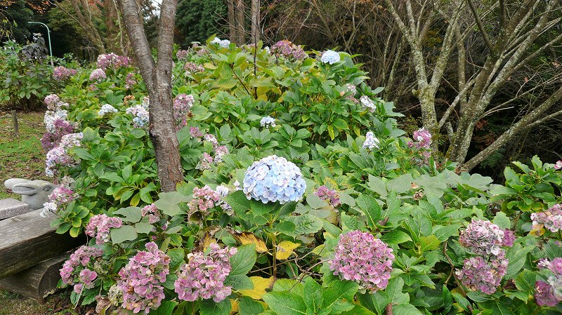 f:id:boianuf:20141215162843j:image f:id:boianuf:20141215162843j:image