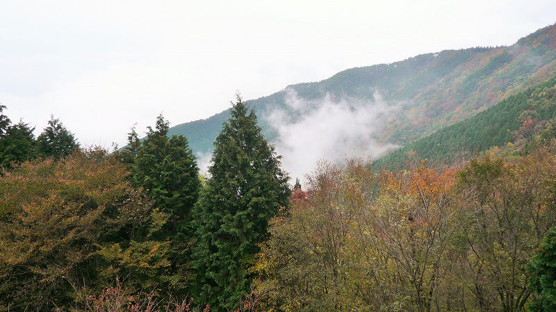 f:id:boianuf:20141215162844j:image f:id:boianuf:20141215162844j:image