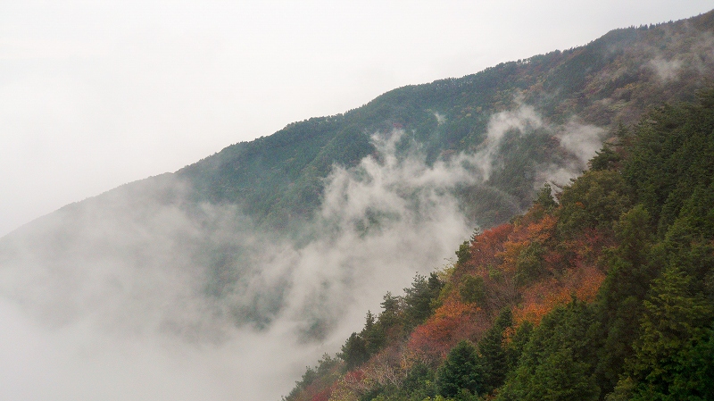 f:id:boianuf:20141215162847j:image f:id:boianuf:20141215162847j:image