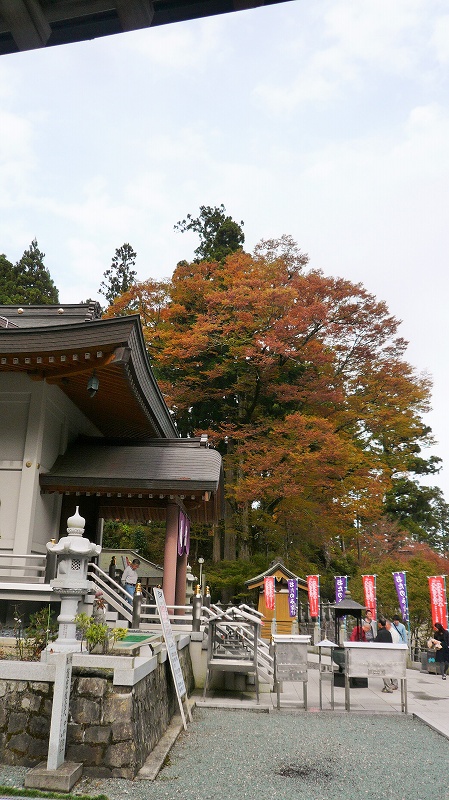 f:id:boianuf:20141215163102j:image f:id:boianuf:20141215163102j:image