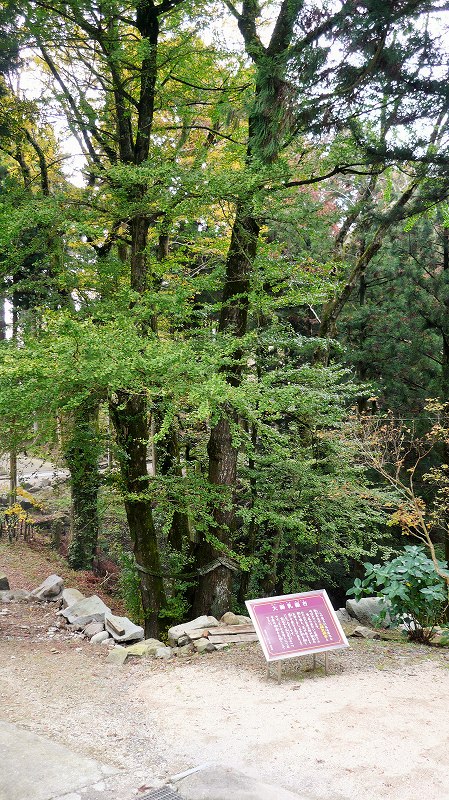 f:id:boianuf:20141215163107j:image f:id:boianuf:20141215163107j:image