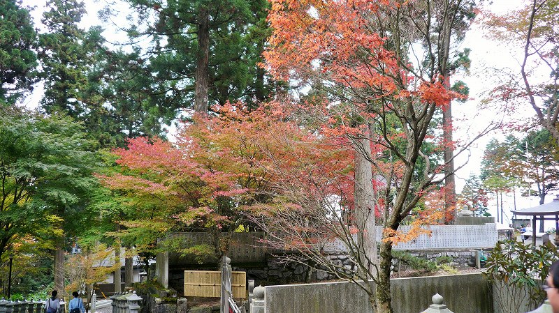 f:id:boianuf:20141215163108j:image f:id:boianuf:20141215163108j:image