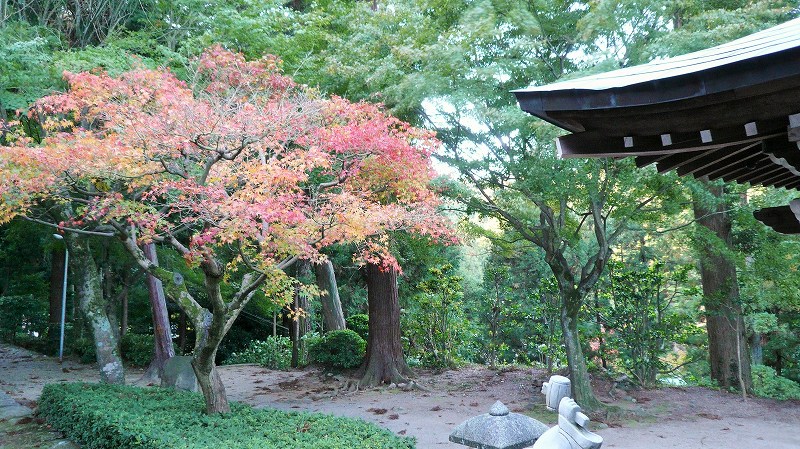 f:id:boianuf:20141220112353j:image f:id:boianuf:20141220112353j:image