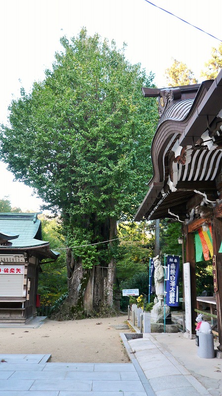 f:id:boianuf:20141220112657j:image f:id:boianuf:20141220112657j:image