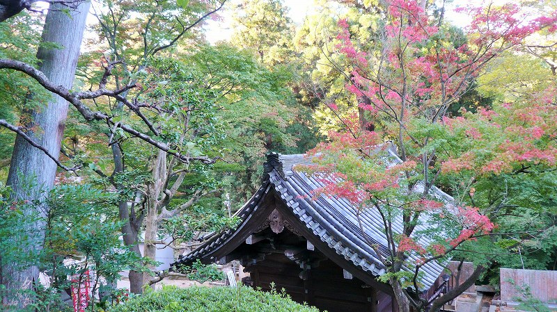 f:id:boianuf:20141220112707j:image f:id:boianuf:20141220112707j:image