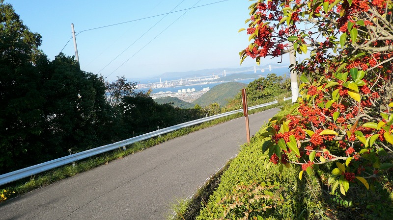 f:id:boianuf:20141220112846j:image f:id:boianuf:20141220112846j:image