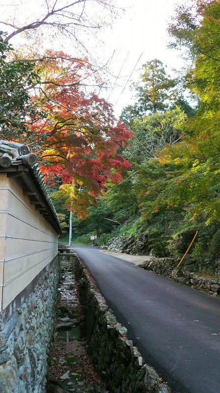 f:id:boianuf:20141220112848j:image f:id:boianuf:20141220112848j:image