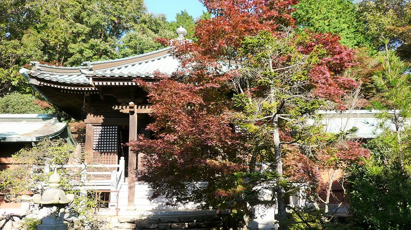 f:id:boianuf:20141220113151j:image f:id:boianuf:20141220113151j:image