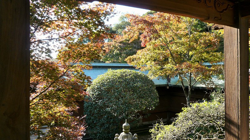 f:id:boianuf:20141220113154j:image f:id:boianuf:20141220113154j:image