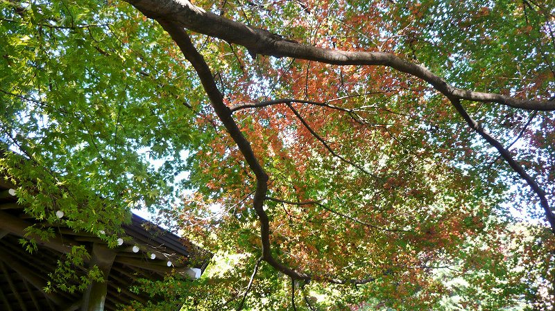 f:id:boianuf:20141220113156j:image f:id:boianuf:20141220113156j:image