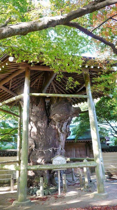 f:id:boianuf:20141220113157j:image f:id:boianuf:20141220113157j:image