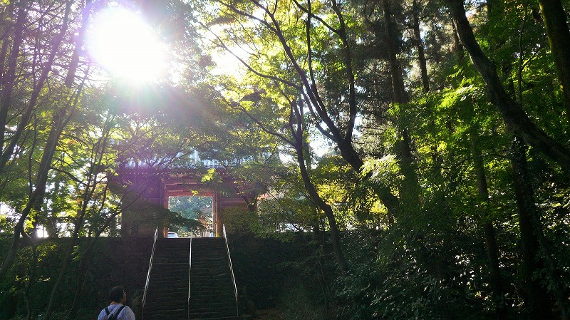 f:id:boianuf:20141220113537j:image f:id:boianuf:20141220113537j:image