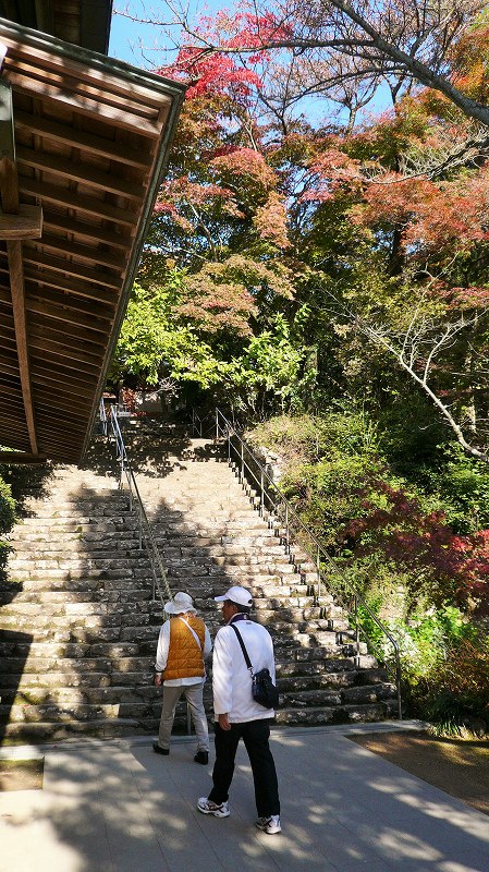 f:id:boianuf:20141220113542j:image f:id:boianuf:20141220113542j:image