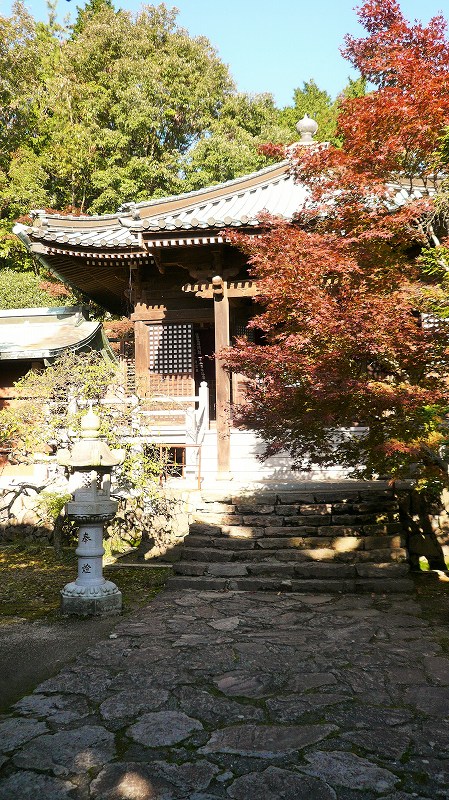 f:id:boianuf:20141220113543j:image f:id:boianuf:20141220113543j:image