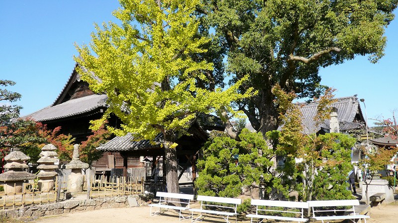 f:id:boianuf:20141220114029j:image f:id:boianuf:20141220114029j:image