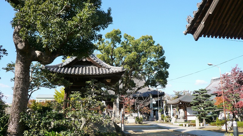 f:id:boianuf:20141220114033j:image f:id:boianuf:20141220114033j:image