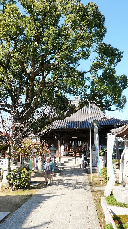 f:id:boianuf:20141220114034j:image f:id:boianuf:20141220114034j:image