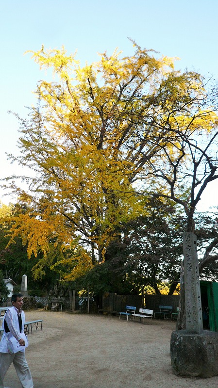 f:id:boianuf:20141220130153j:image