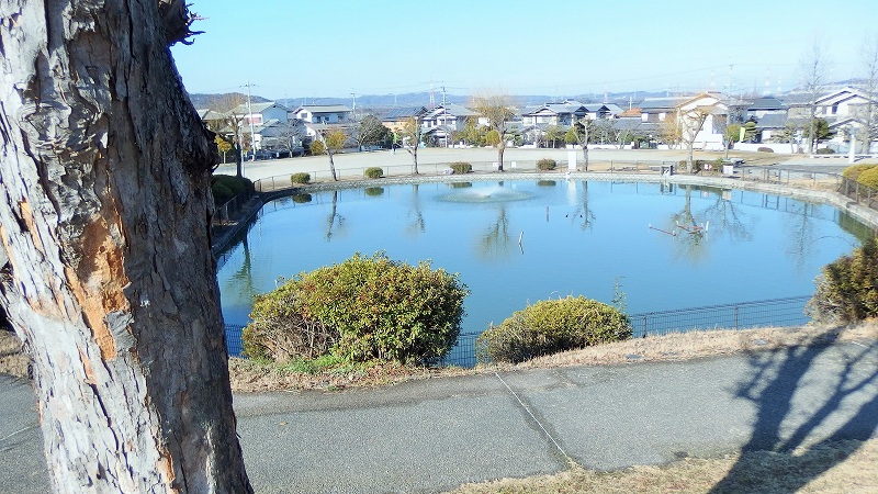 f:id:boianuf:20150124114211j:image