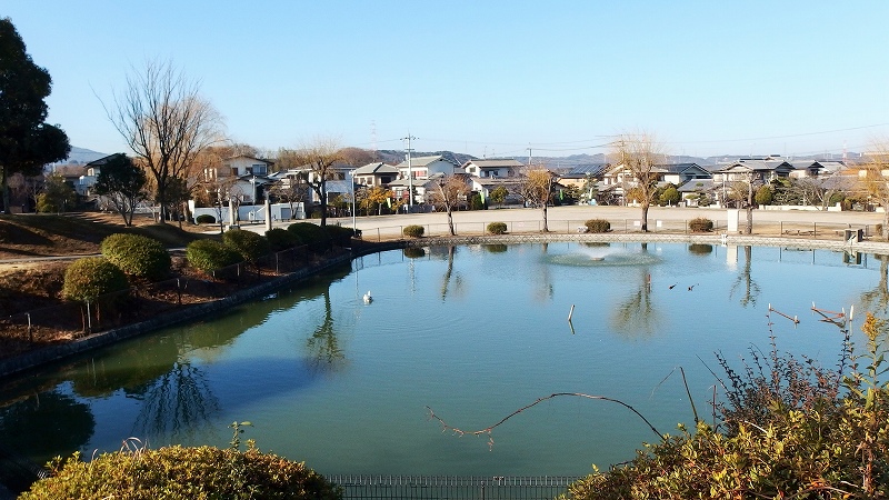 f:id:boianuf:20150124114217j:image