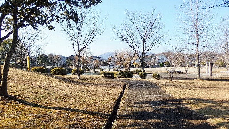 f:id:boianuf:20150124114218j:image