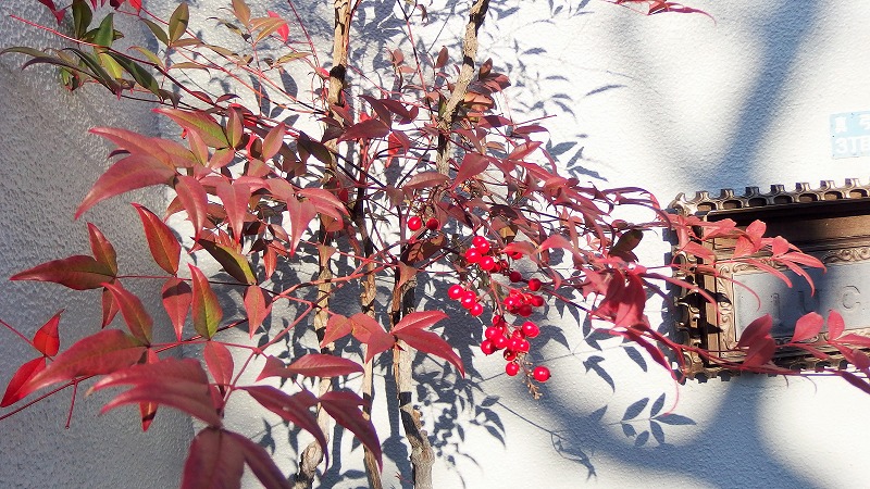 f:id:boianuf:20150125114543j:image