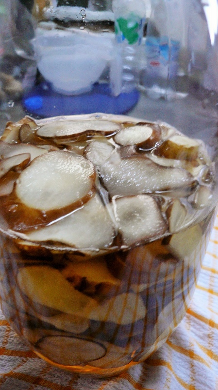 f:id:boianuf:20150218141953j:image