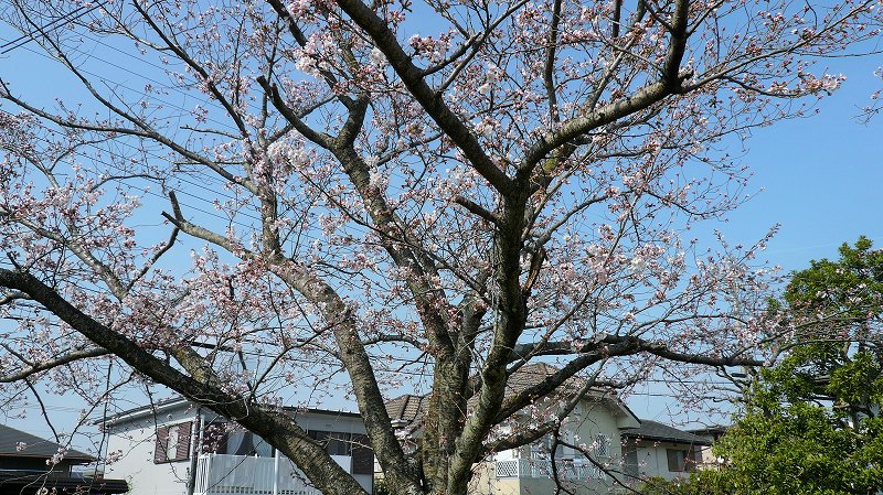 f:id:boianuf:20150331160501j:image