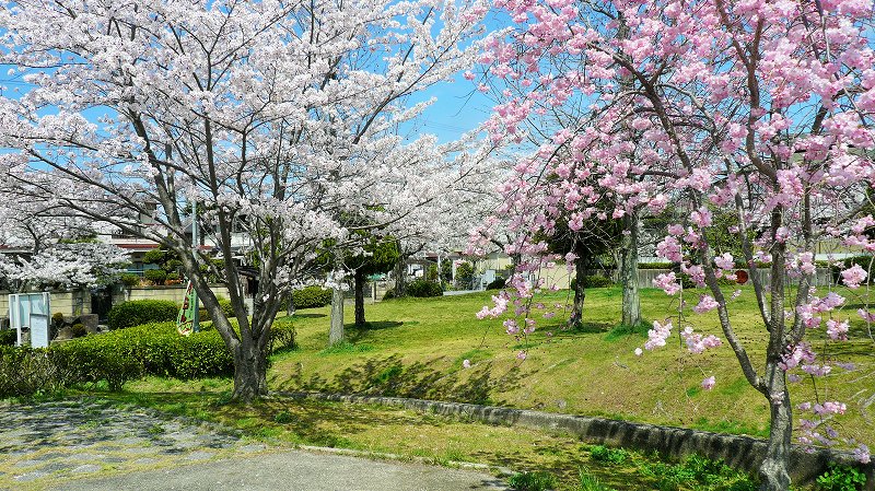 f:id:boianuf:20150404153329j:image