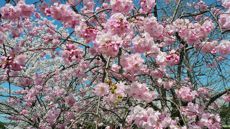 f:id:boianuf:20150404153330j:image