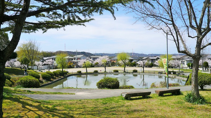 f:id:boianuf:20150404153333j:image
