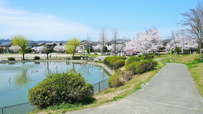 f:id:boianuf:20150404153334j:image
