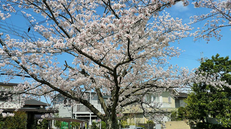 f:id:boianuf:20150404153336j:image