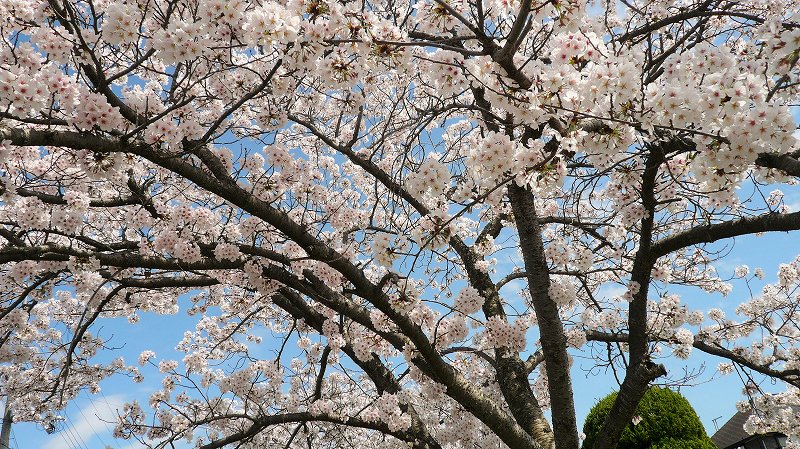 f:id:boianuf:20150404153337j:image