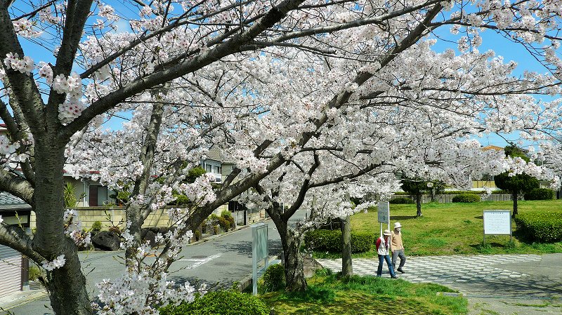 f:id:boianuf:20150404153508j:image