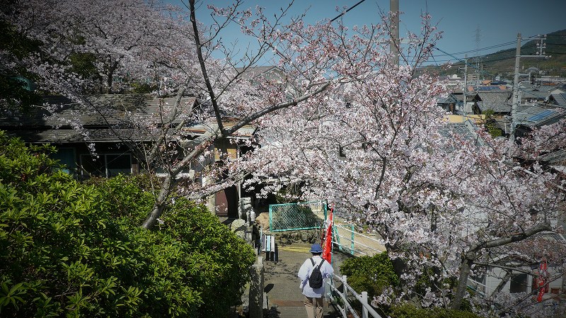 f:id:boianuf:20150406145035j:image