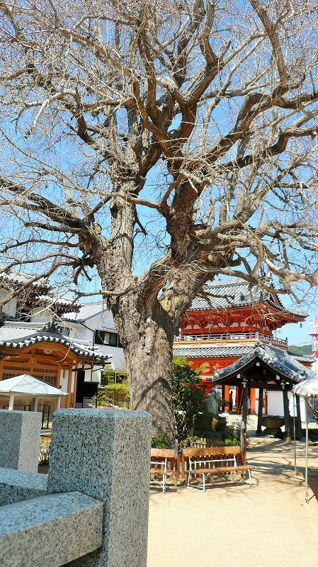 f:id:boianuf:20150407130541j:image