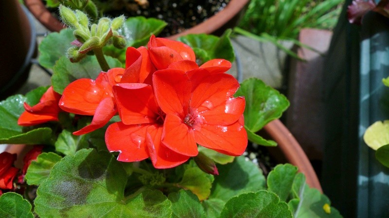 f:id:boianuf:20150419122520j:image