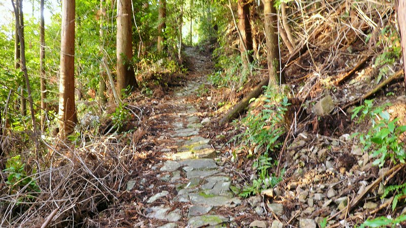 f:id:boianuf:20150429131130j:image