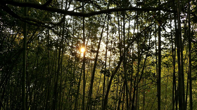 f:id:boianuf:20150429131132j:image