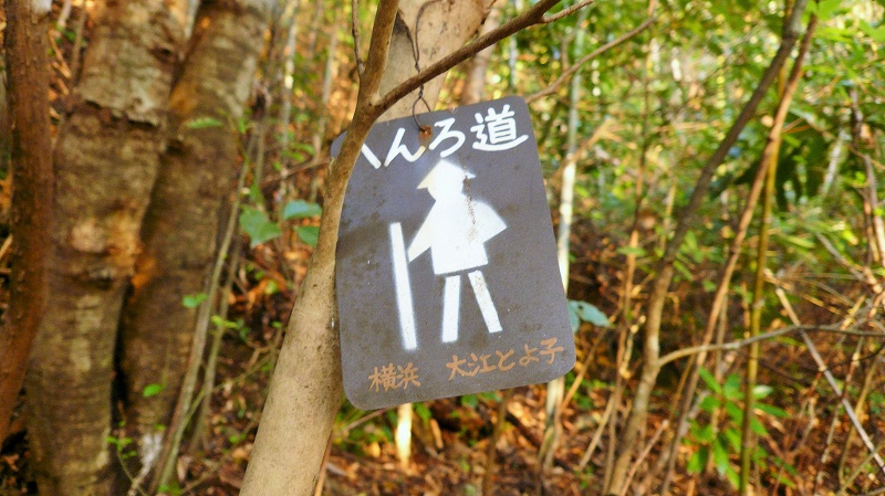 f:id:boianuf:20150429131133j:image